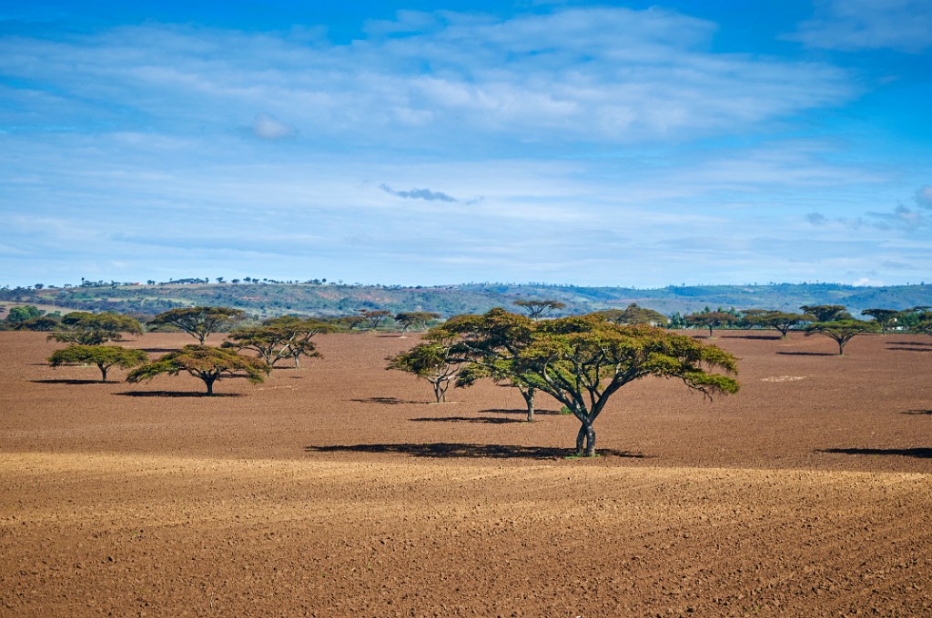 Fields, Great Rift Valley